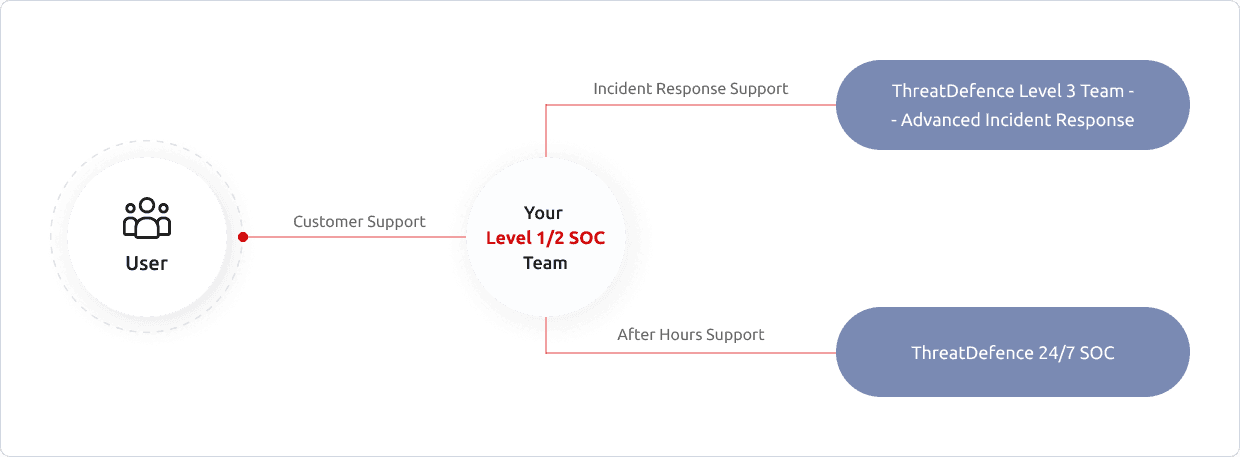 Infographic