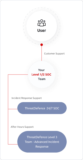 Infographic